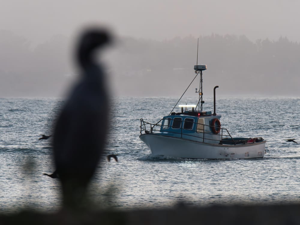 A visit to Sumpter Wharf post image