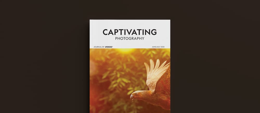 Issue 13 is live – explore, capture, be inspired post image