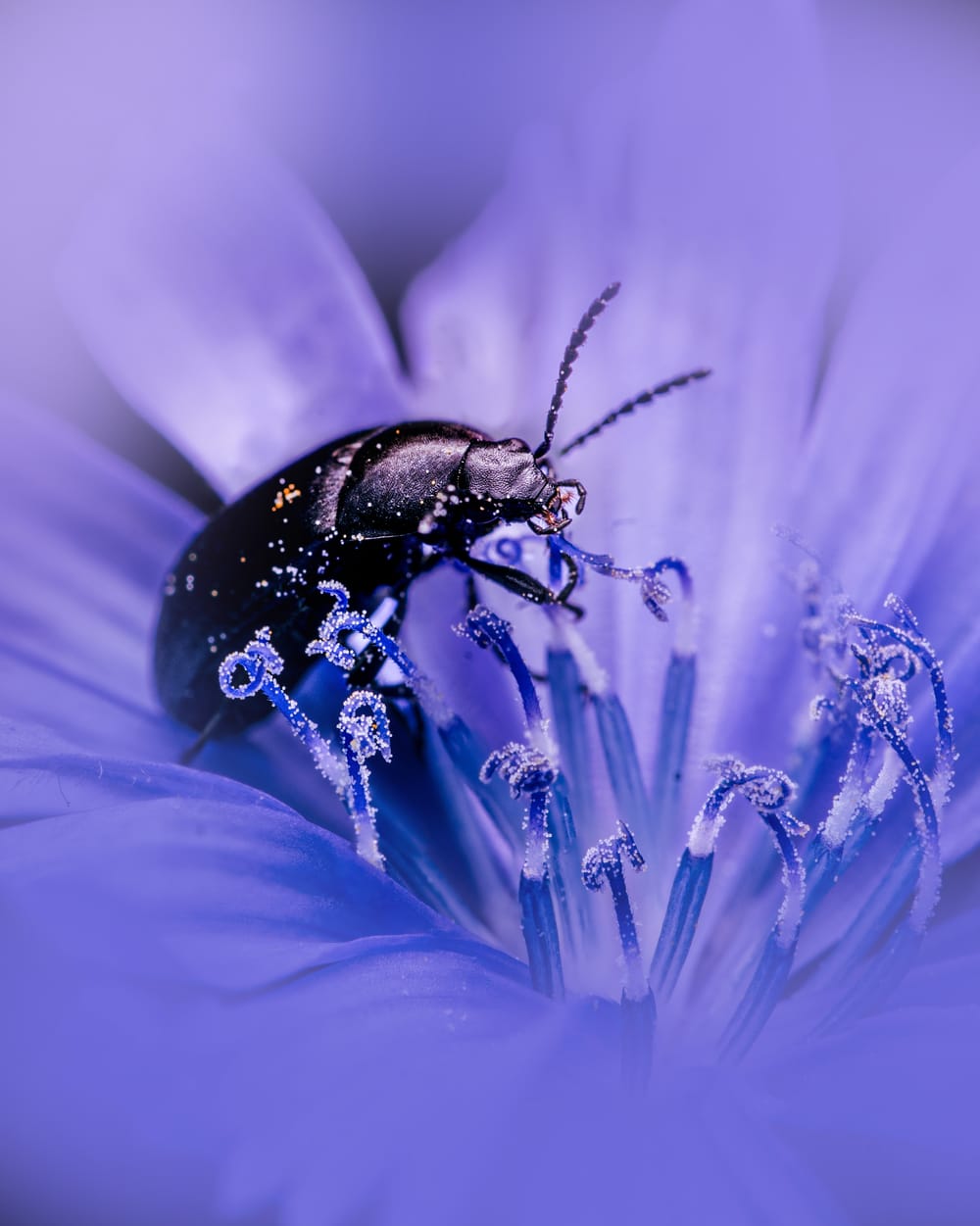 Nature’s tiny stories post image