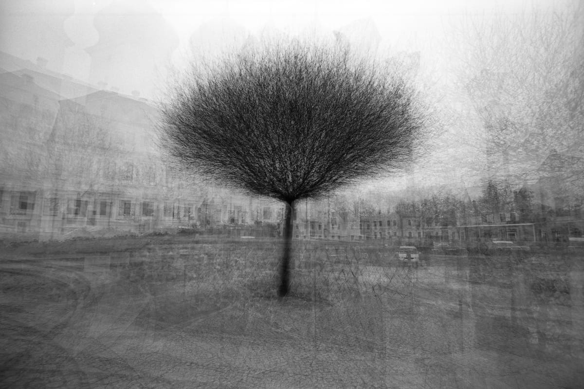 Bodyswap Fiction: The Blurring of Reality and Imagination