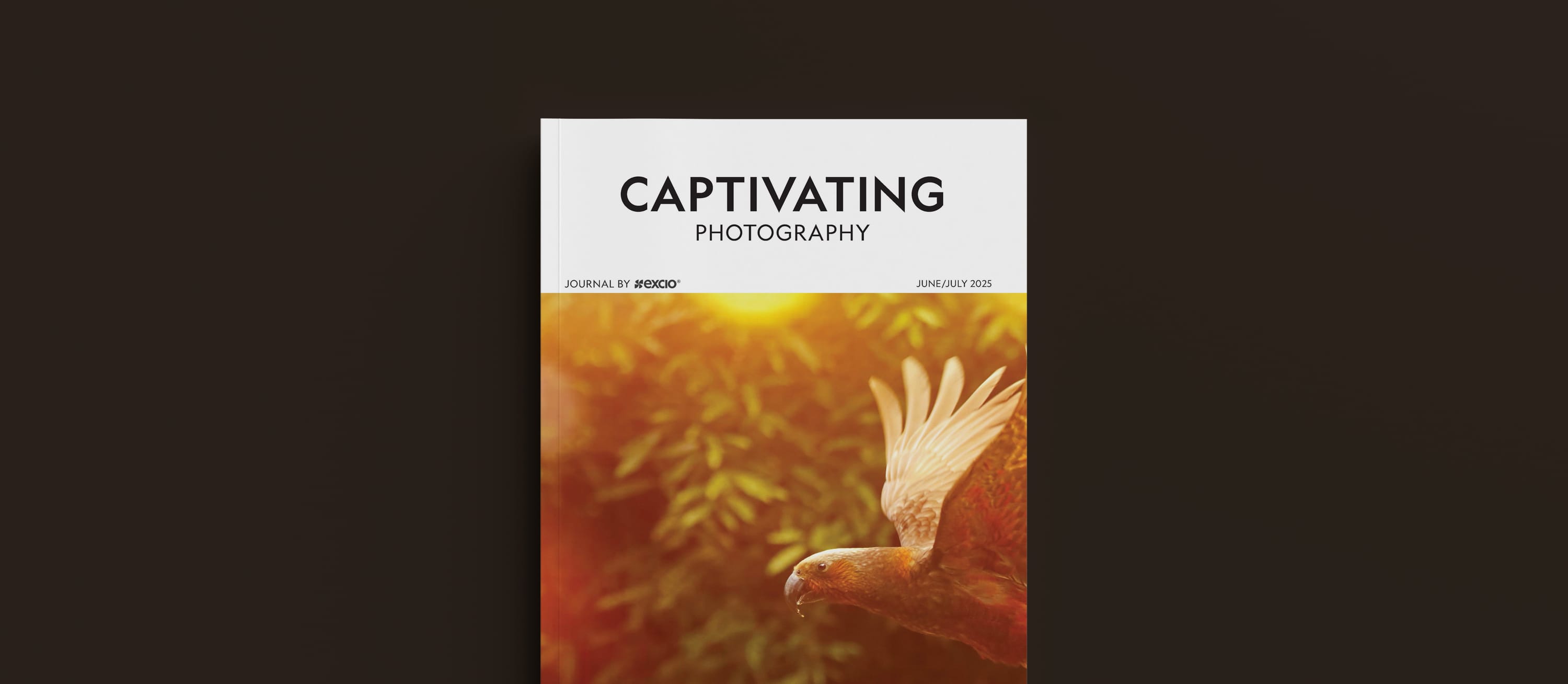 Issue 13 is live – explore, capture, be inspired