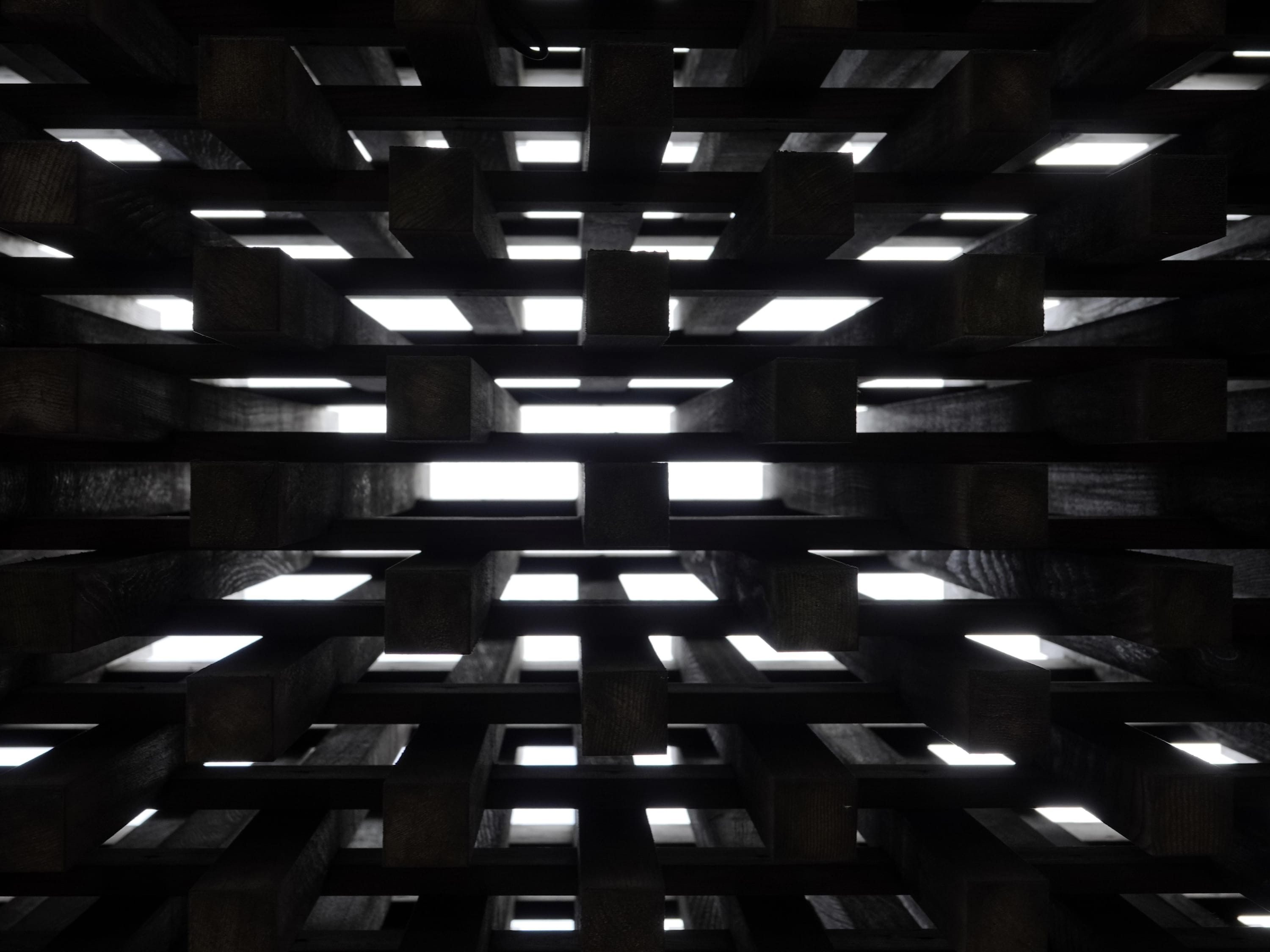 Walking, noticing, photographing