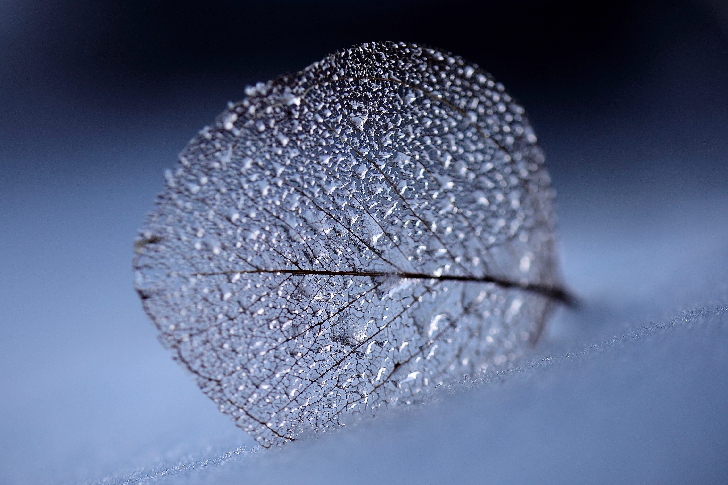 The quiet power of noticing